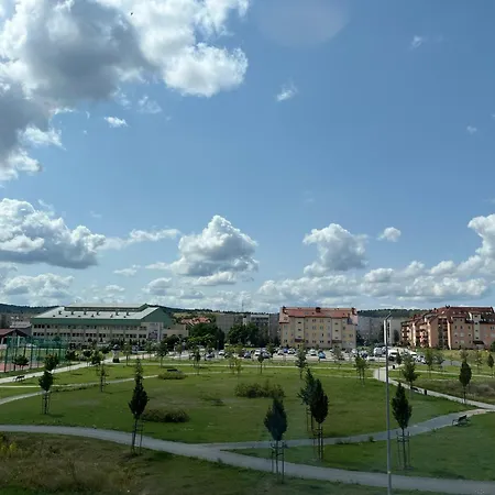 Studio Green * Swiebodzice